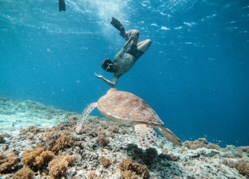 Utopia Island VIP Snorkeling Tour