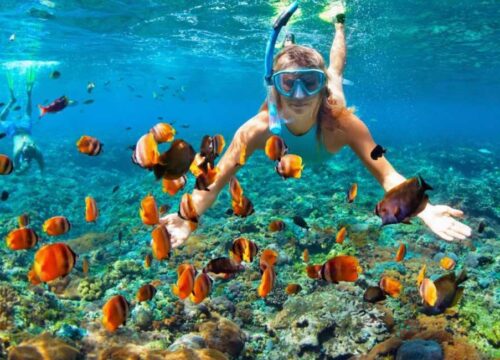 Orange Bay Island Snorkeling Tour
