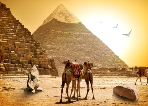 Private trip to Cairo